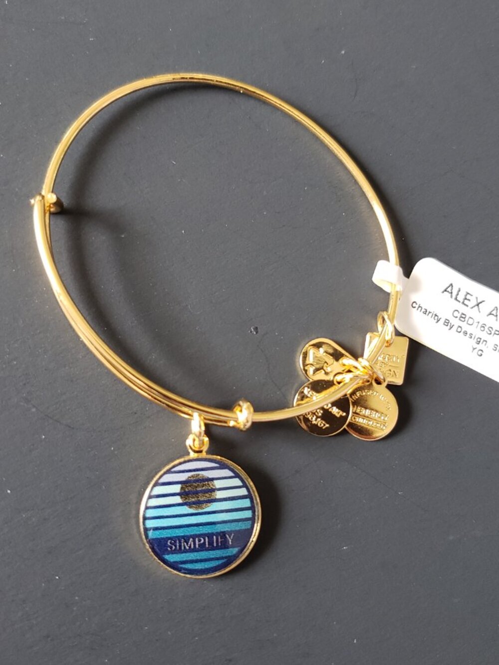 Alex and Ani Simplify Bracelet Bangle 698